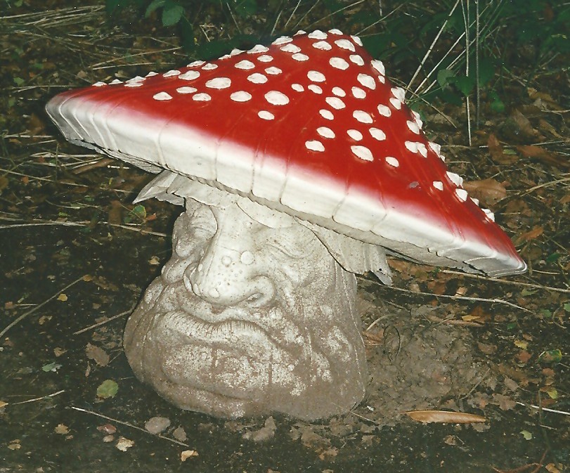mushroom 03