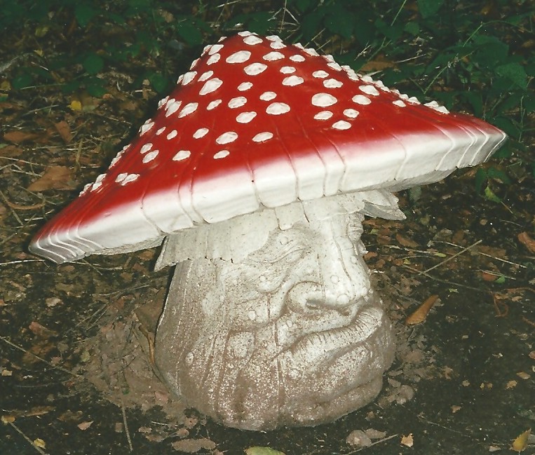 mushroom 04
