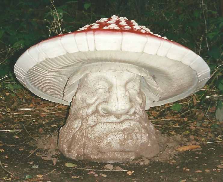 mushroom 05