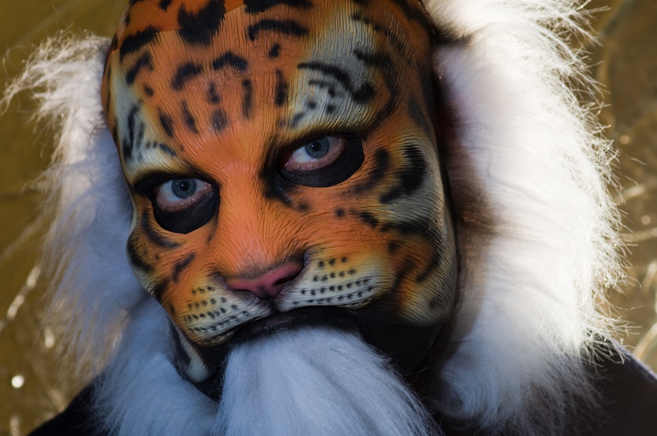 tiger makeup